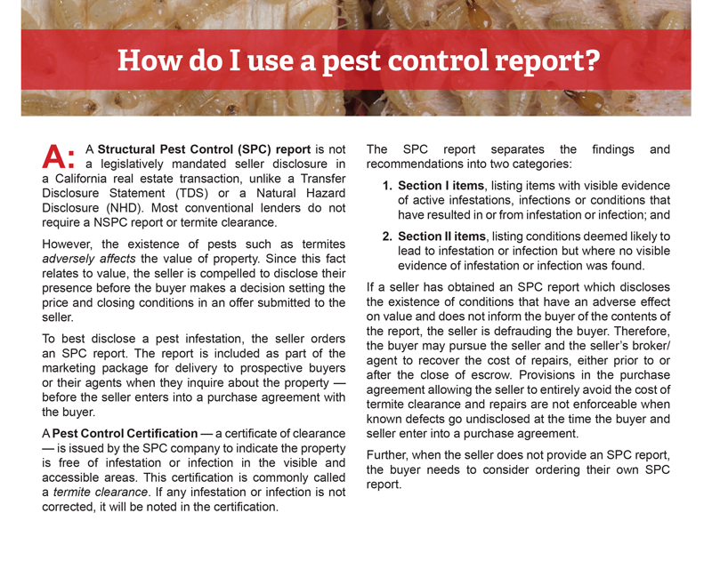 Client Q&A: How Do I Use A Pest Control Report? | First Tuesday Journal