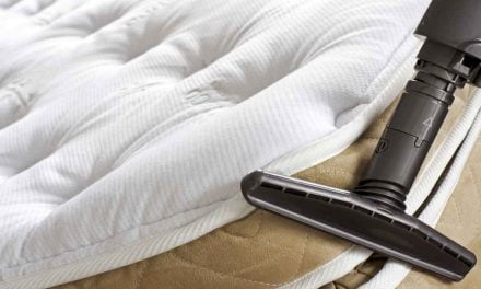 The down and dirty on bed bugs