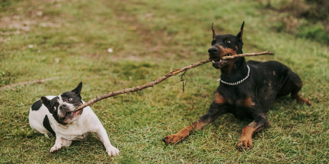 Is a seller under a purchase agreement provision for attorney fees who initially refuses to mediate but later offers mediation before the buyer files litigation entitled to attorney fees when they prevail?