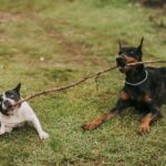 Is a seller under a purchase agreement provision for attorney fees who initially refuses to mediate but later offers mediation before the buyer files litigation entitled to attorney fees when they prevail?