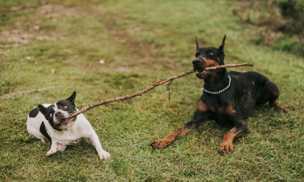 Is a seller under a purchase agreement provision for attorney fees who initially refuses to mediate but later offers mediation before the buyer files litigation entitled to attorney fees when they prevail?