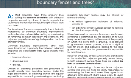 Client Q&A: Who is responsible for maintenance of boundary fences and trees?