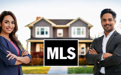 The MLS environment