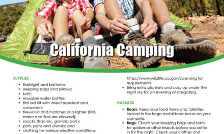 FARM: California camping