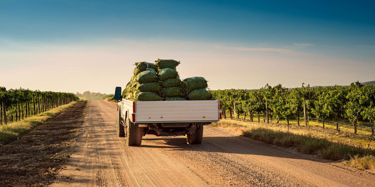 May a property owner use their easement on a neighbor’s property to transport their cannabis crop without the consent of their neighbor?