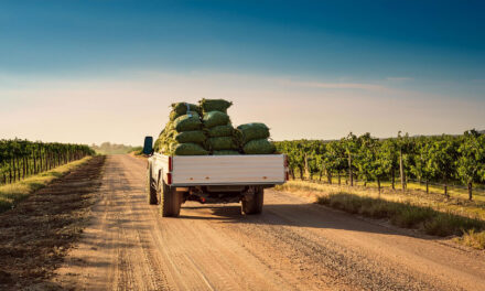 May a property owner use their easement on a neighbor’s property to transport their cannabis crop without the consent of their neighbor?