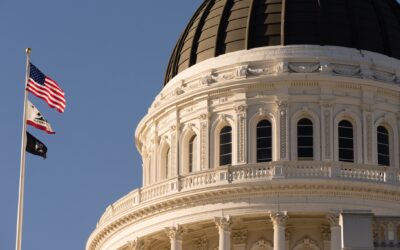 Governor appoints new DRE Commissioner