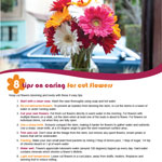 Cutting flowers