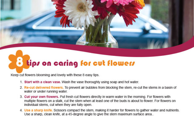 FARM: 8 Tips on caring for cut flowers