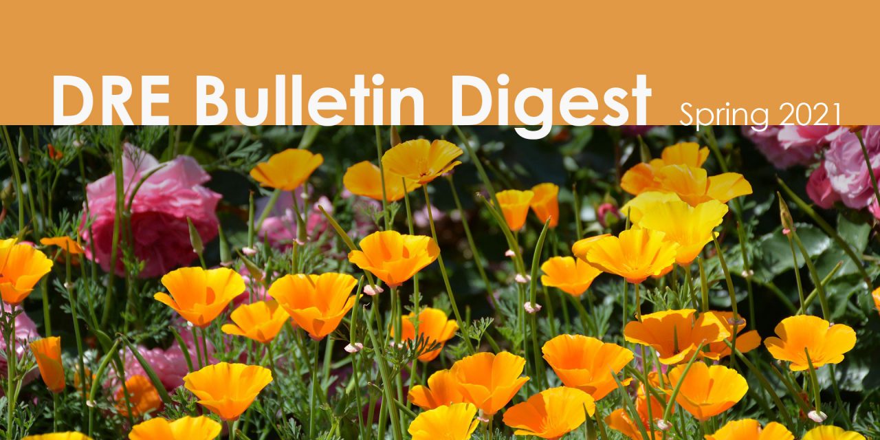 DRE Bulletin Digest Spring 2021