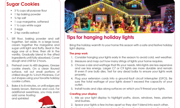 FARM: December Newsletter – D1