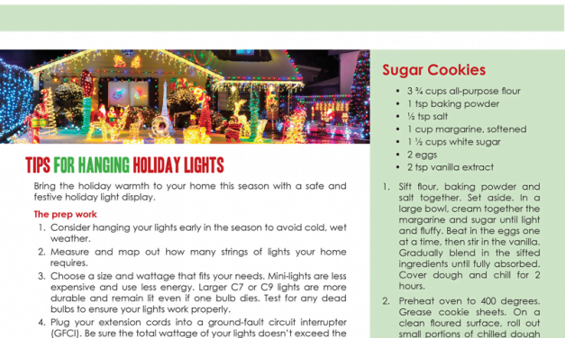 FARM: December Newsletter – D2