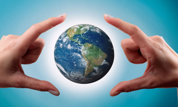 BPO series: Different types of estates and ways to divide their ownership