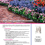 Rid garden of weeds