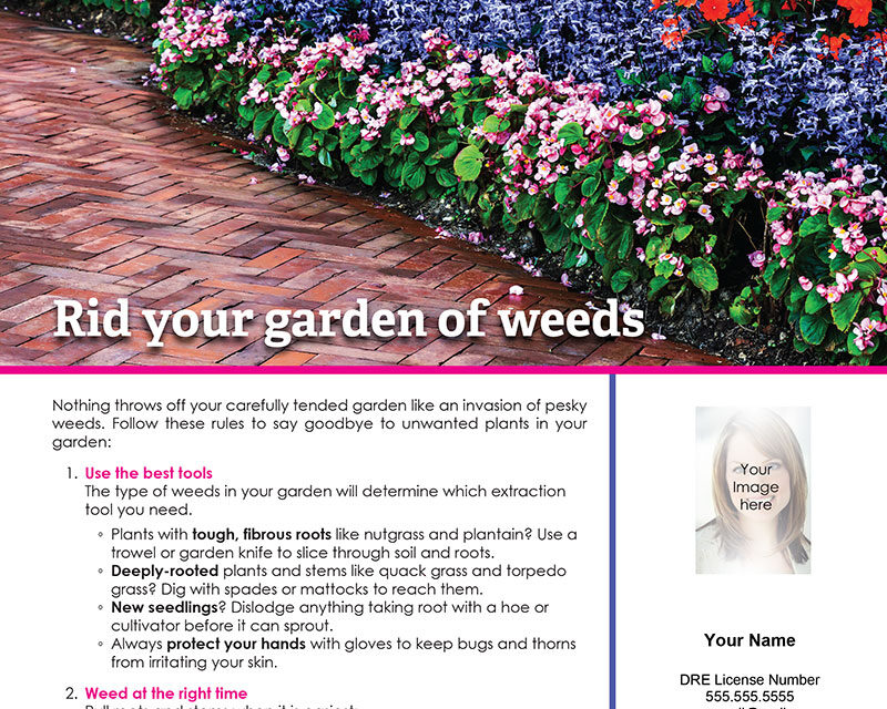 FARM: Rid your garden of weeds