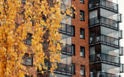 Down payment download: Why 20%