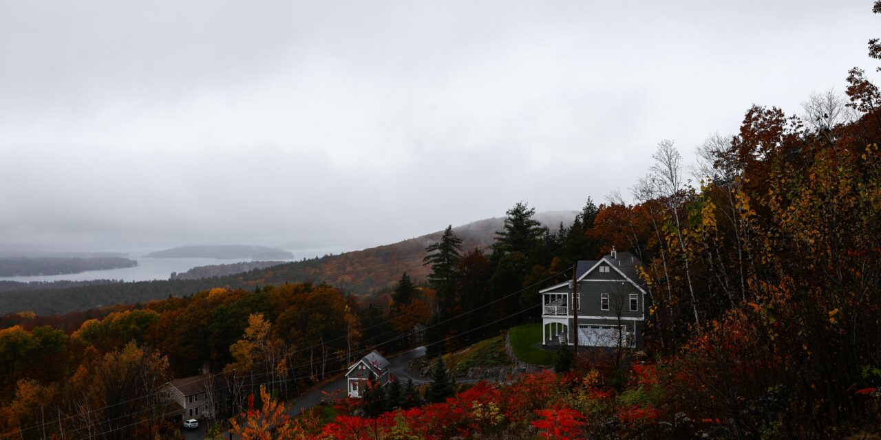 DRE Bulletin Digest: Fall/Winter 2024