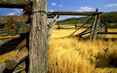 Letter to the editor: What are squatters’ rights in California?