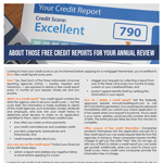 Annual credit reports