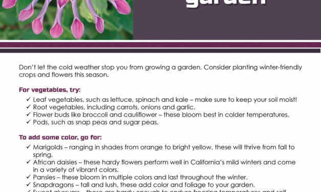 FARM: Grow a winter garden