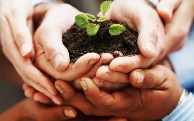 The positive costs of energy efficient improvements