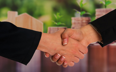 The due diligence effort for an opinion of value