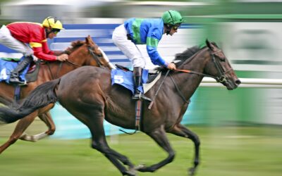 A property’s energy consumption: Part 2: Marketing a property’s energy use