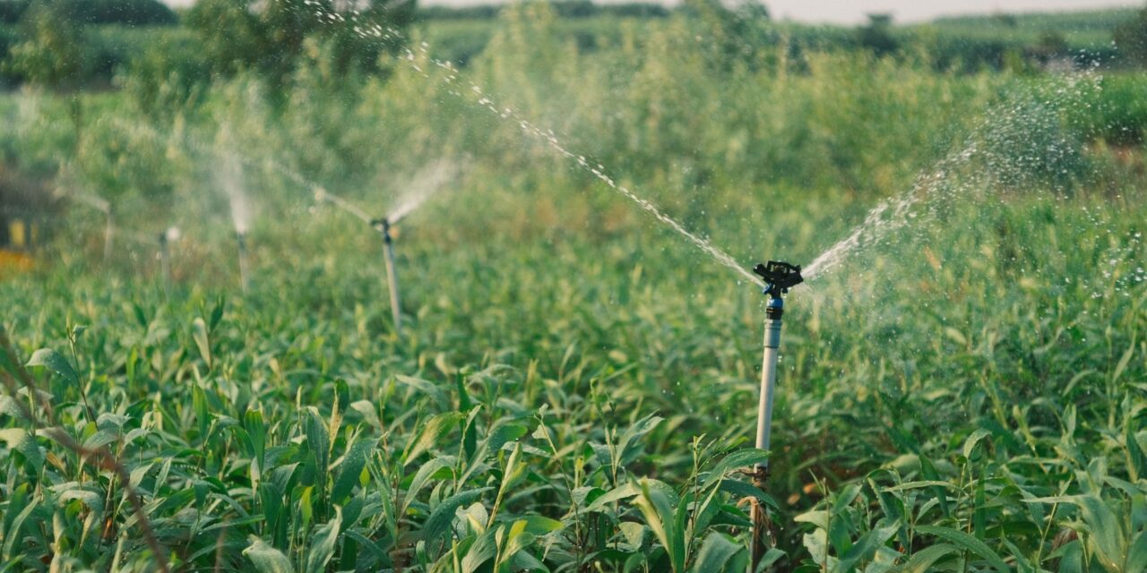 May the county water district limit a landowner’s groundwater use based on historic use?
