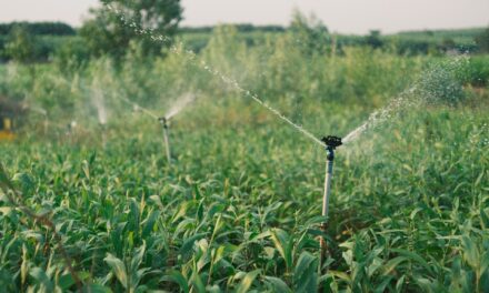 May the county water district limit a landowner’s groundwater use based on historic use?