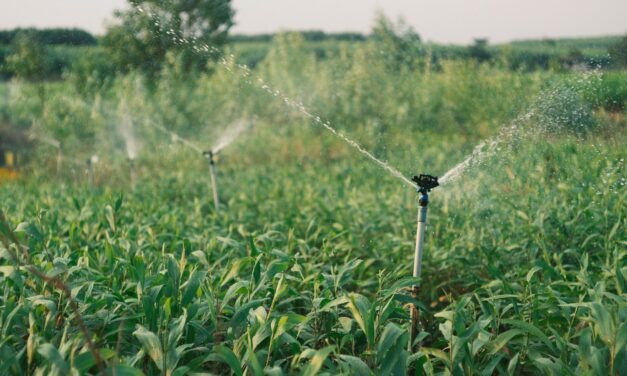May the county water district limit a landowner’s groundwater use based on historic use?