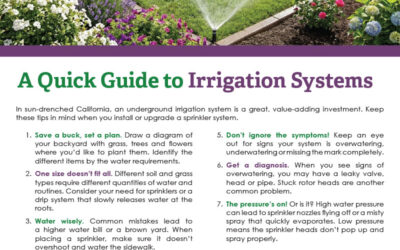 FARM: A quick guide to irrigation systems