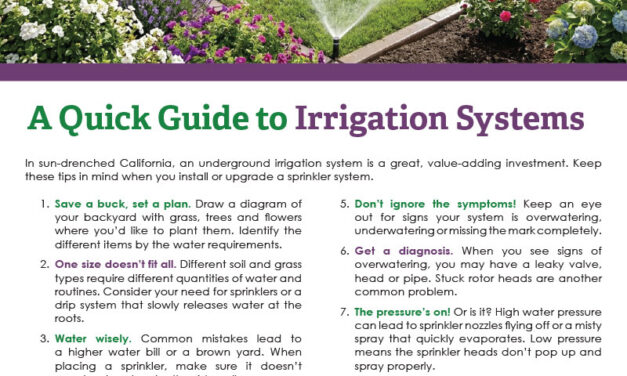 FARM: A quick guide to irrigation systems