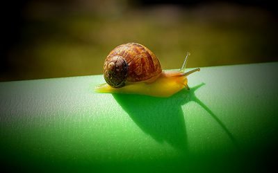 Jobs still lagging, savings rates fall; Monthly Statistical Update (April 2022)