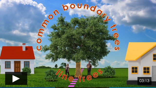 Line Trees: a Trunk with Common Owners