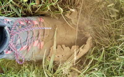 Mortgage rates jump, depressing real estate pricing in 2022; Monthly Statistical Update (February 2022)