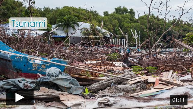 Manifestations of Seismic Hazards