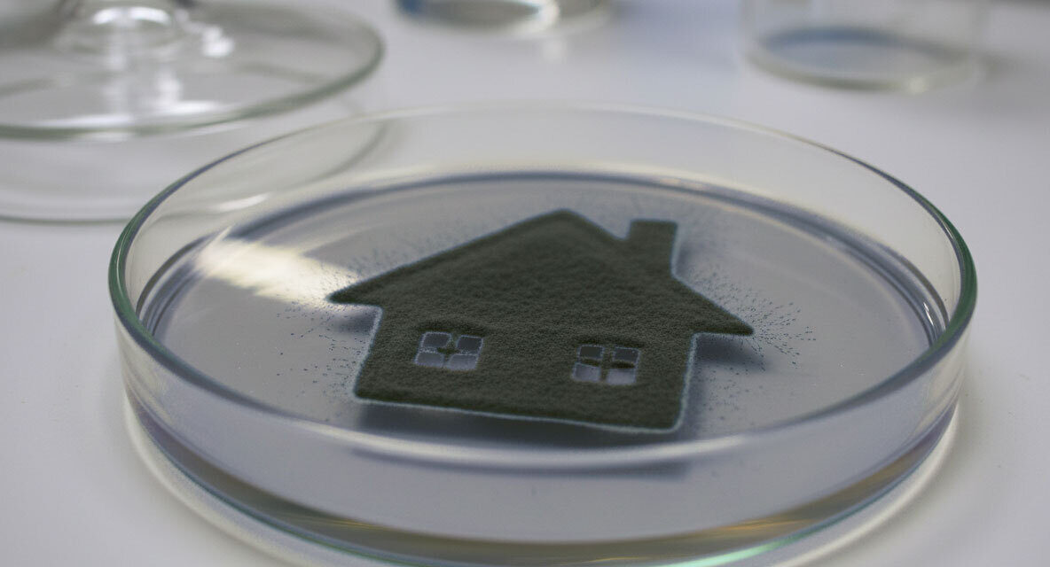 May property be granted by an owner living with the presence of toxic mold and prescription painkillers which affect mental competency?