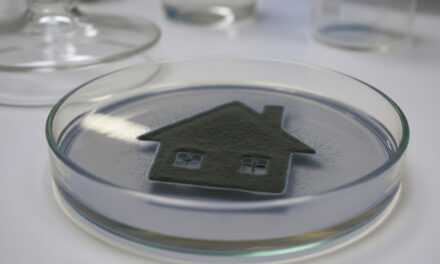 May property be granted by an owner living with the presence of toxic mold and prescription painkillers which affect mental competency?