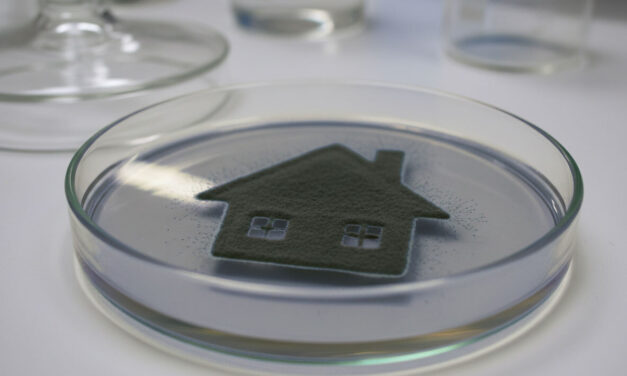 May property be granted by an owner living with the presence of toxic mold and prescription painkillers which affect mental competency?