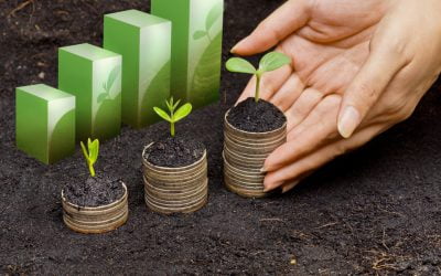 How mortgage loan originators are compensated