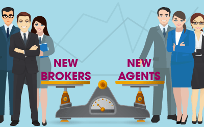 Newly-licensed sales agent and broker population
