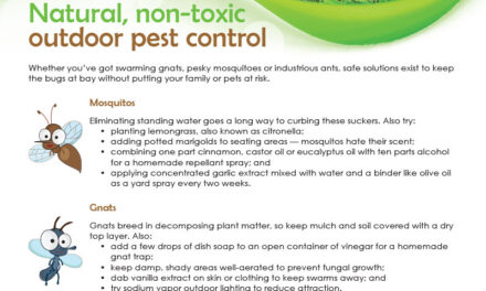 FARM: Natural, non-toxic outdoor pest control
