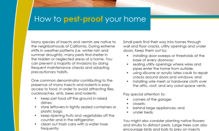 FARM: How to pest-proof your home