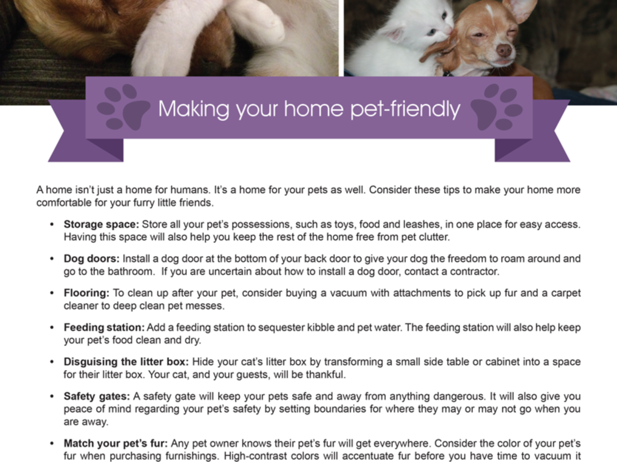 13 Steps to Finding Pet-Friendly Housing