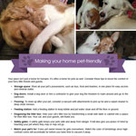 Making your home pet-friendly