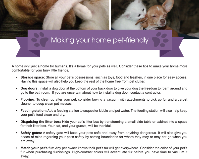 Tips To Make Your Home Pet-Friendly