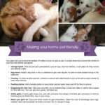 FARM: Making your home pet-friendly