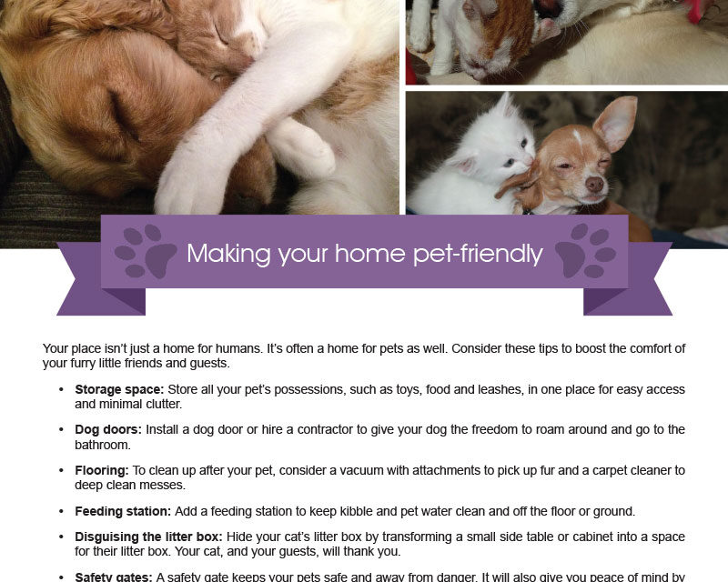 FARM: Making your home pet-friendly