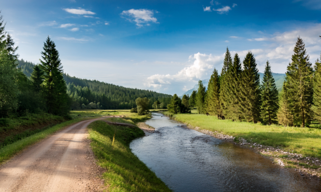 May a property owner with access via an appurtenant easement located near a river be required to stabilize the riverbank?