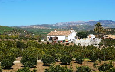 Trade disputes, farmworker shortage threaten California farmland